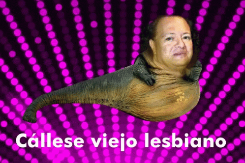 Sergio Zurita Viejo Lesbiano GIF - Sergio Zurita Viejo Lesbiano Callese Viejo Lesbiano GIFs