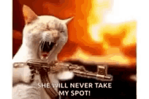 a white cat is holding a gun in front of a fire and saying she will never take my spot .