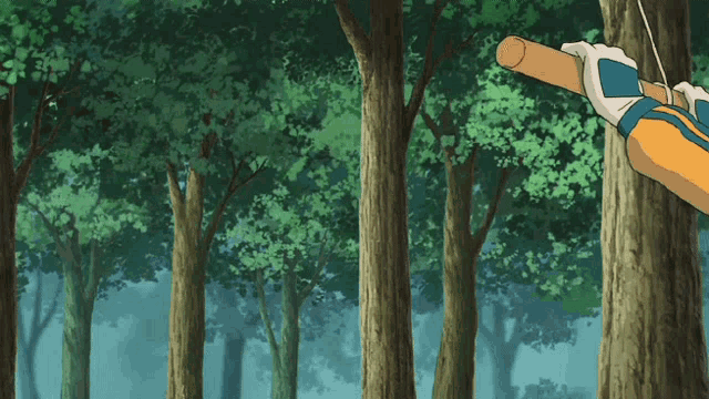 a person is holding a stick in the woods
