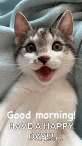 a cat with its mouth wide open and the words good morning have a happy day wake up