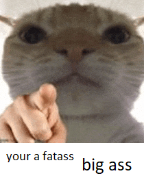 a picture of a cat pointing with the words your a fatass big ass underneath it