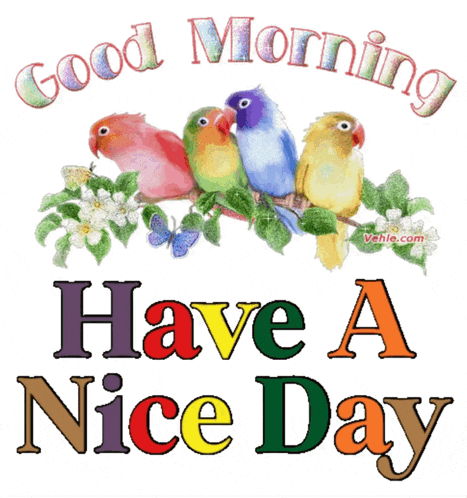 a graphic that says good morning have a nice day with birds on a branch
