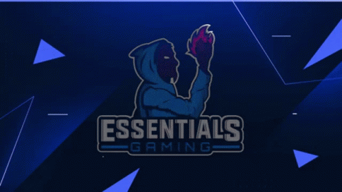 Esg Essentials GIF - Esg Essentials Essentialsgaming GIFs