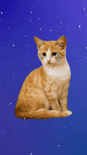 a cat with tears coming out of its eyes against a blue background