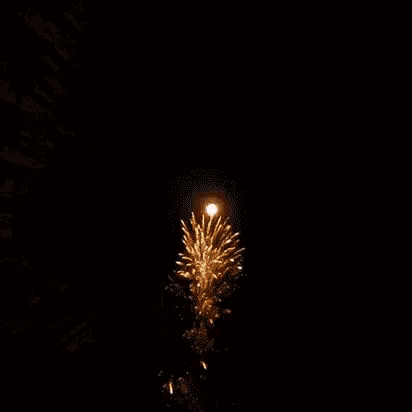 a fireworks display in the night sky with a black background .