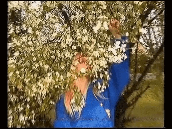 a woman in a blue jacket is hiding behind a tree with white flowers .