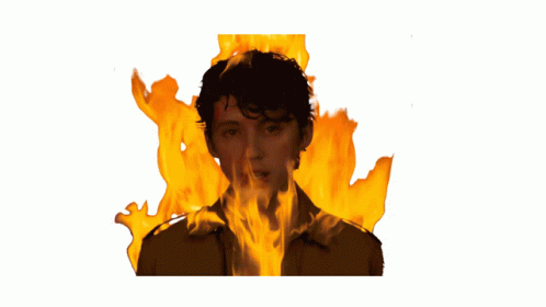 Fire Troye Sivan GIF - Fire Troye Sivan On Fire GIFs