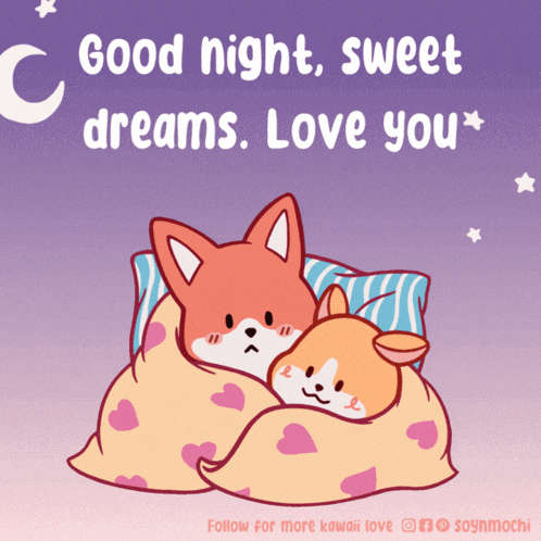 a cartoon of a fox and a dog wrapped in a blanket with the words good night sweet dreams love you
