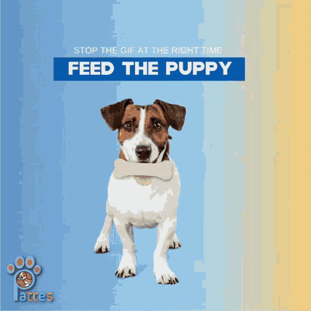 a dog with a bone in its mouth and the words feed the puppy on the bottom