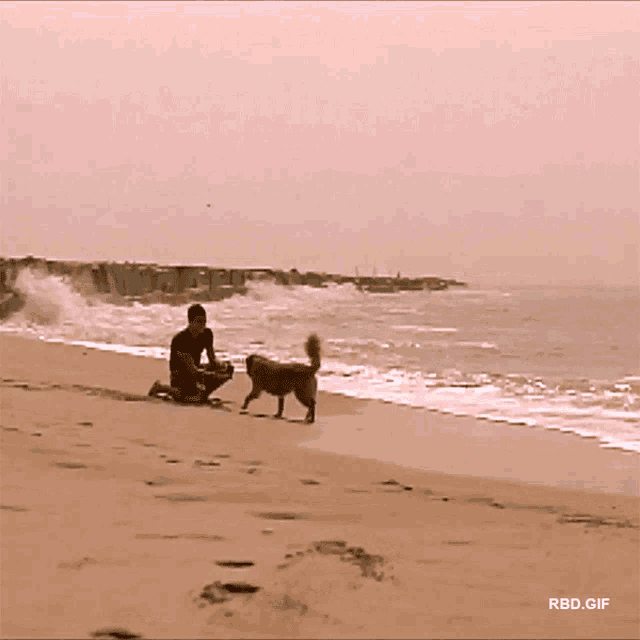 a man sits on a beach playing a guitar with rbd.gif written below him