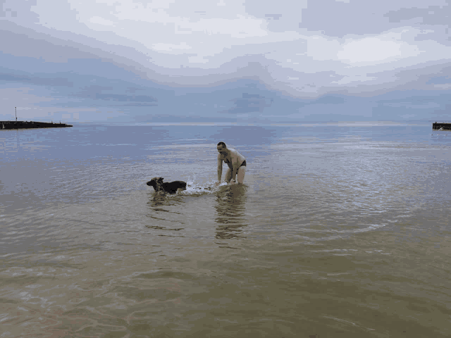 a man playing with a dog in the ocean