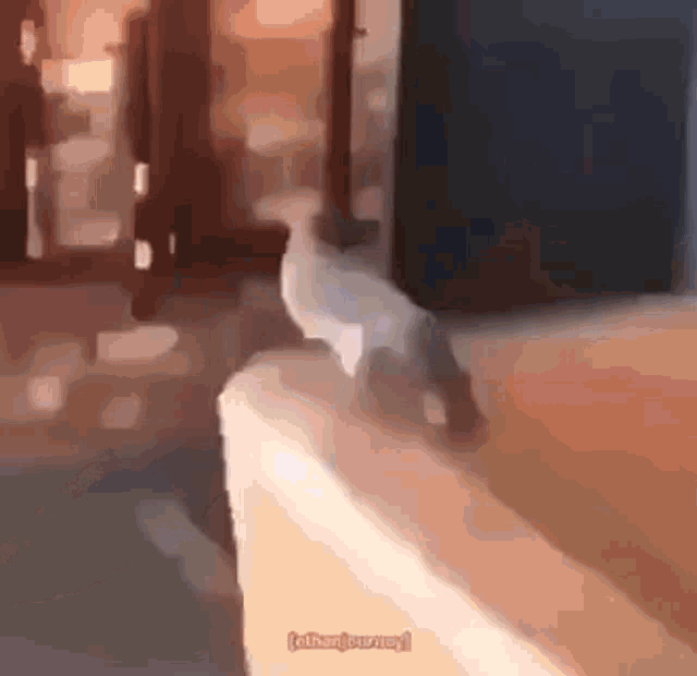 a cat is walking on a ledge next to a window .