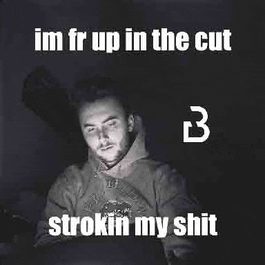 a man in a hoodie is sitting in front of a computer screen with a meme on it .