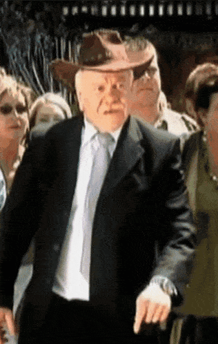 a man wearing a cowboy hat and a suit is pointing