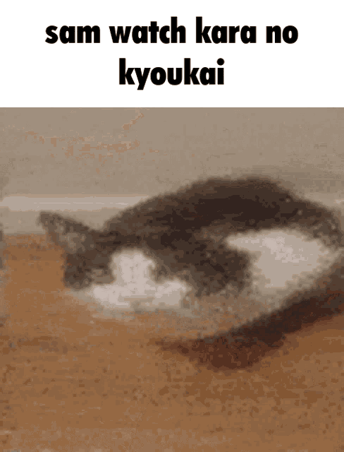 a picture of a cat with the words sam watch kara no kyoukai on the bottom