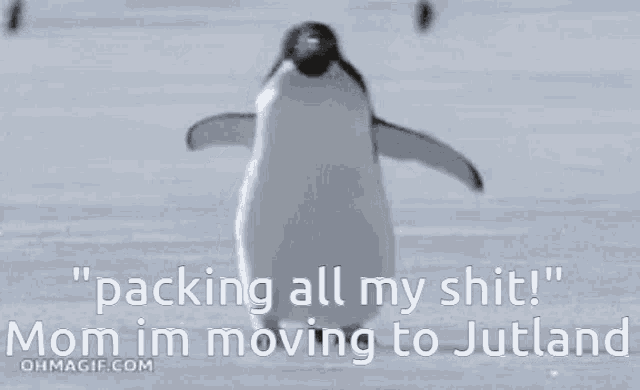a penguin with the words " packing all my shit mom im moving to jutland "