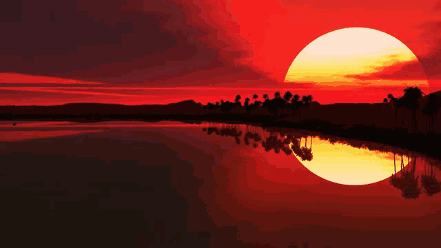 sunset over a body of water with palm trees in the foreground