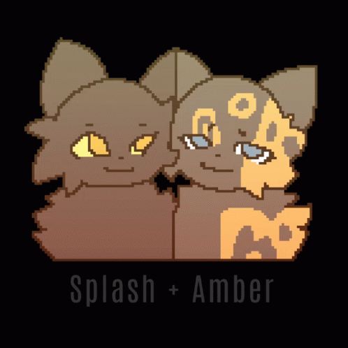 Amber Splash GIF - Amber Splash Warriors GIFs