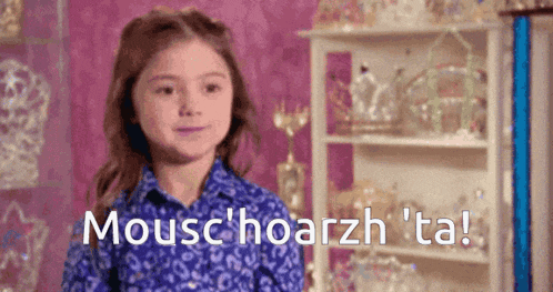 a little girl in a blue shirt is standing in front of a shelf and says mouse hoarzh 'ta !