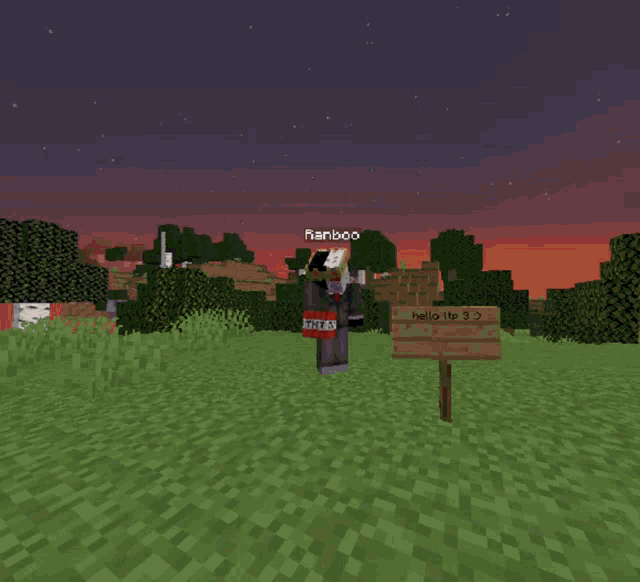 a screenshot of a video game with the name ranboo