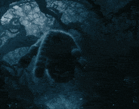 a cat laying on its back in the dark