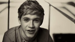 Cutie GIF - One Direction Niall Horan Wink GIFs