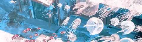 a bunch of jellyfish are swimming in the ocean