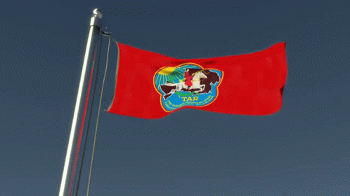 Tanna Tuva Flag GIF - Tanna Tuva Flag Wave GIFs