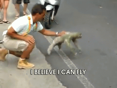 Flying Sloth GIF - Flying Sloth Animals I Believe I Can Fly GIFs