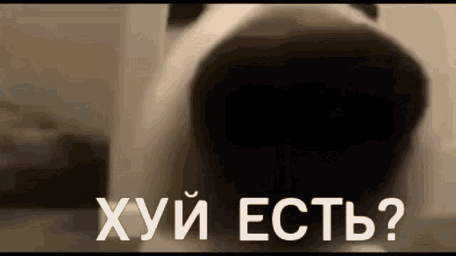 a close up of a dog 's face with the words " хуй есть " written in white