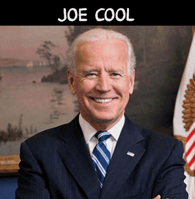 Biden Joe Biden GIF - Biden Joe Biden Democrat GIFs