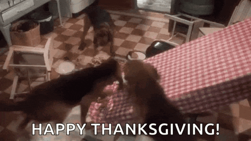 a couple of dogs are standing on top of a table with the words `` happy thanksgiving '' written on it .