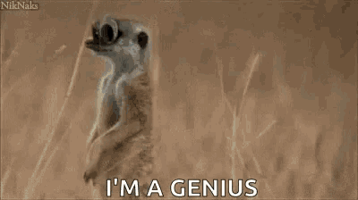 a meerkat with googly eyes is saying i 'm a genius .