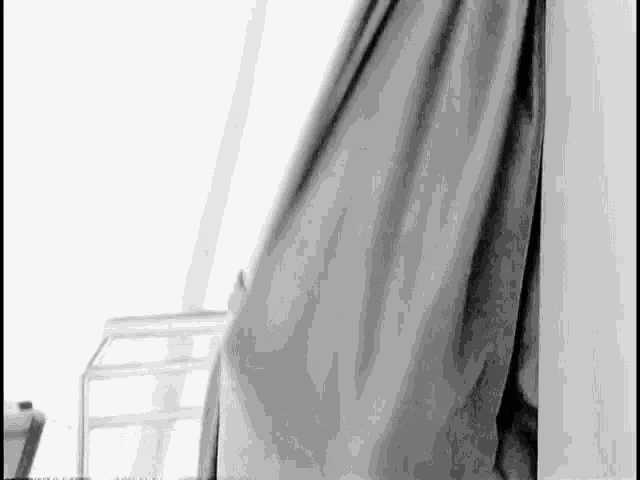 it is a black and white photo of a curtain blowing in the wind .