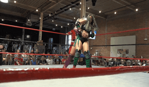 two women wrestling in a ring with a crowd watching and one has the letter a on her leg