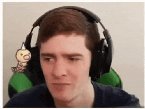 a man wearing headphones with a stuffed animal on his head .