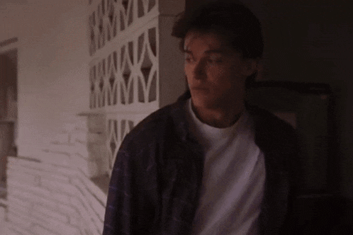 a man in a plaid shirt and white shirt is standing in front of a wall with a pattern on it .