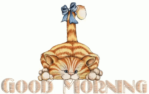 Good Morning Cat GIF - Good Morning Cat Tail Wagging GIFs