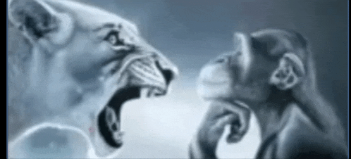 a lion and a chimpanzee are looking at each other with their mouths open