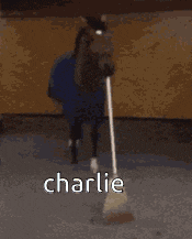 a horse is holding a broom in its mouth and the name charlie is on the bottom .