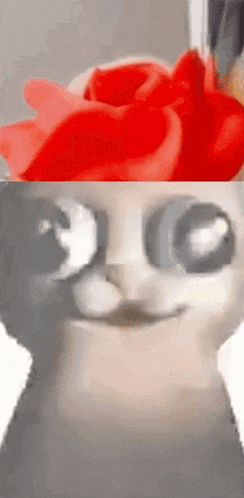 a close up of a cat 's face next to a close up of a red rose