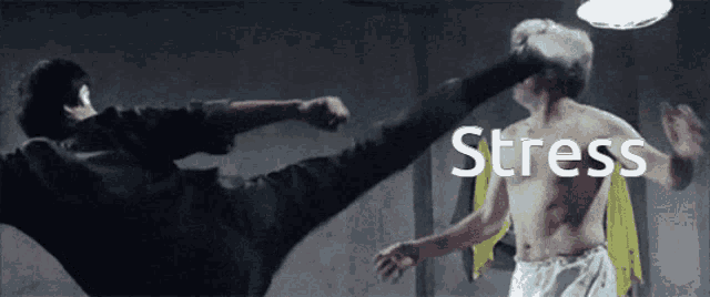 a man kicking another man in the face with the word stress behind him