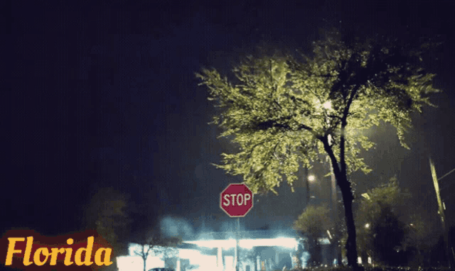 a stop sign in florida at night