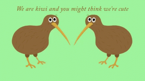 Kiwi Bird GIF - Kiwi Bird New Zealand GIFs