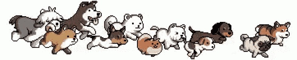 a group of dogs are standing next to each other in a row .