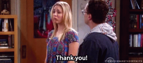 Thank You Approved GIF - Thank You Approved Big Bang Theory GIFs