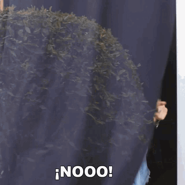 a man with a wig on his head says nooo in a spanish language