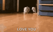 a couple of puppies standing on a wooden floor with the words `` love you '' written on the bottom .