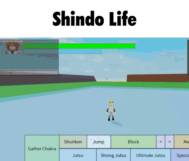 a screenshot of a video game with the words shindo life above it
