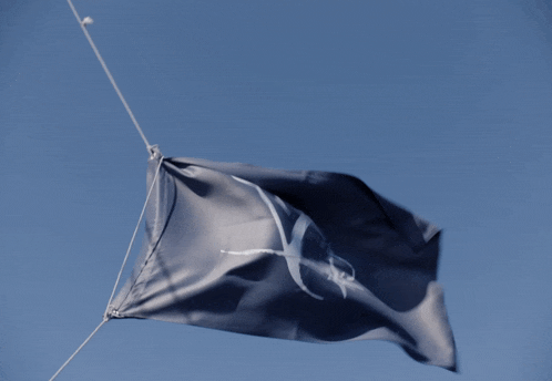 a flag with the letter v and a star on it